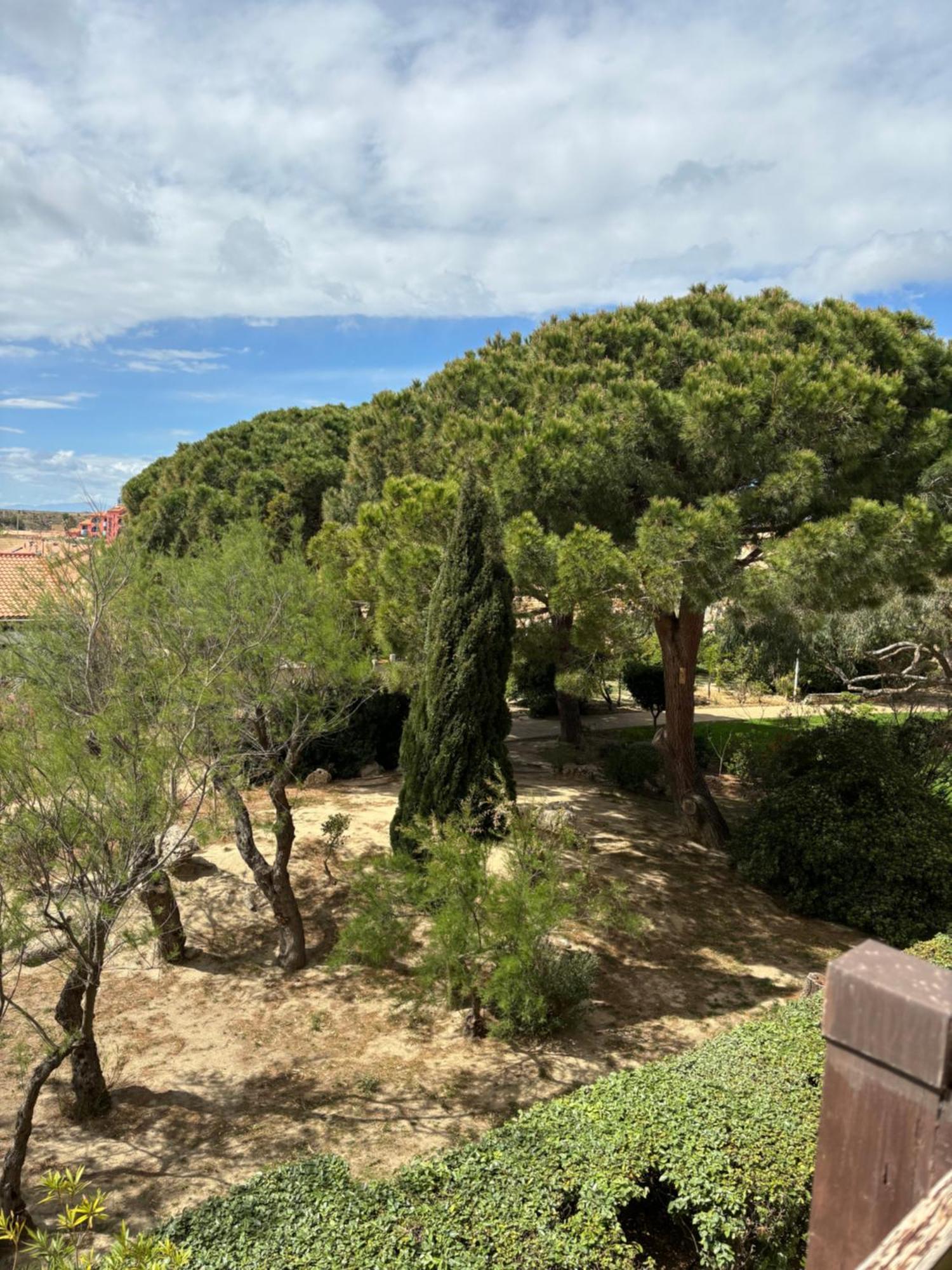 Appartement T2 Tout Equipe Leucate Kültér fotó