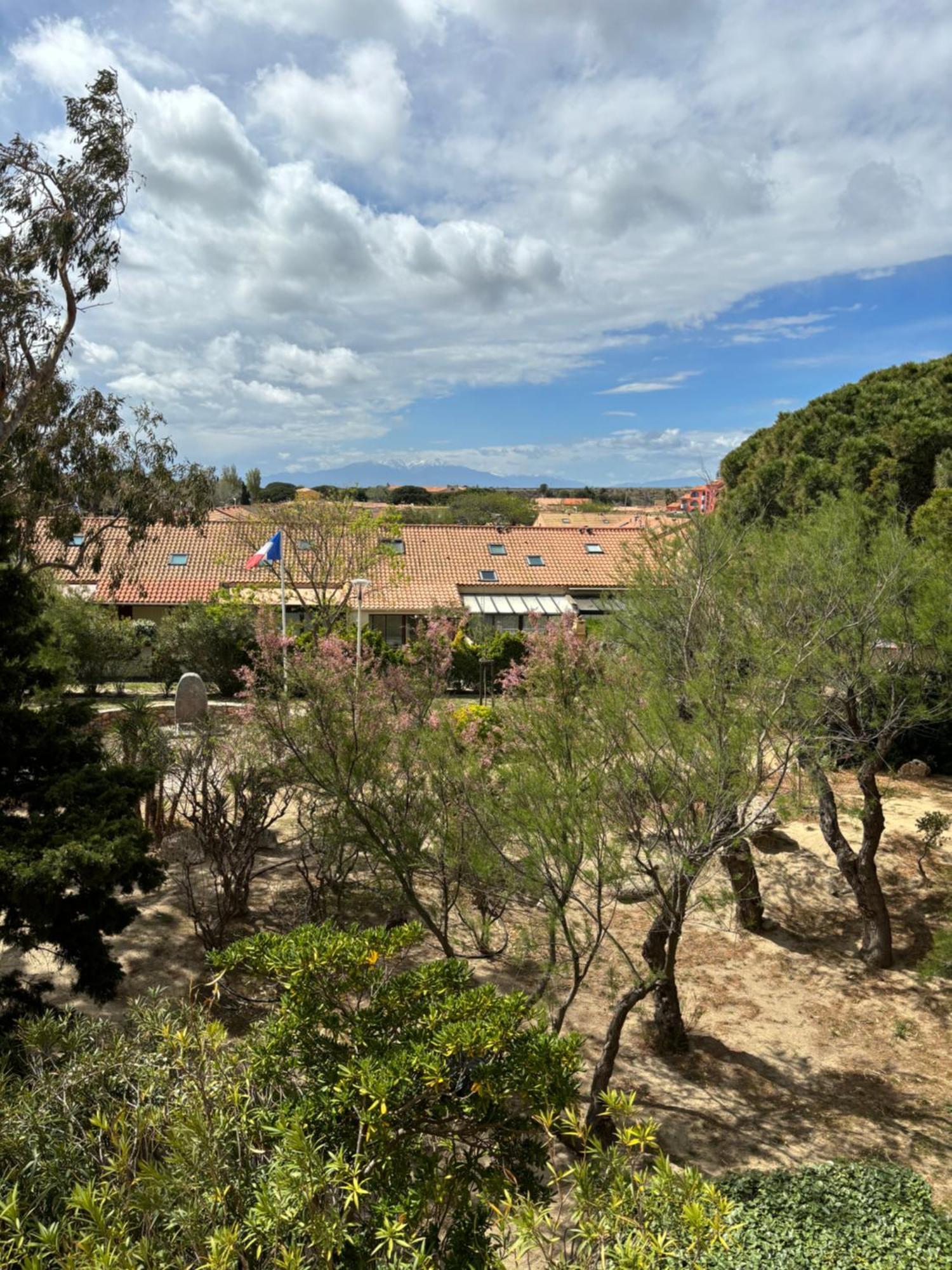 Appartement T2 Tout Equipe Leucate Kültér fotó